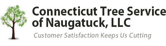 Why Should You Consider Tree Trimming and Pruning?