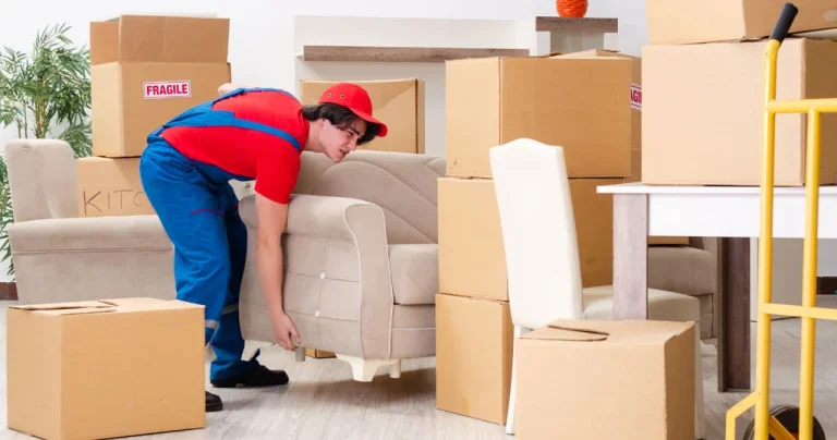 The Importance of Reviews When Hiring House Movers NZ