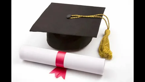 Degree or Diploma