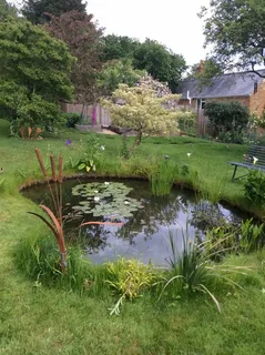 A Simple Guide to a Clear and Healthy Garden Pond