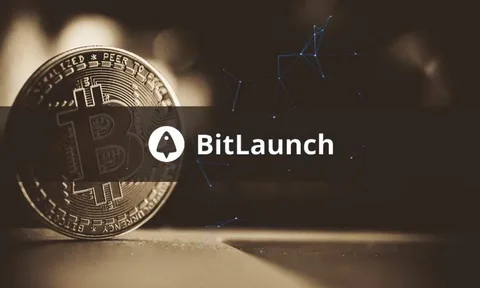 Why Developers Choose Bitlaunch for Secure Cloud Servers